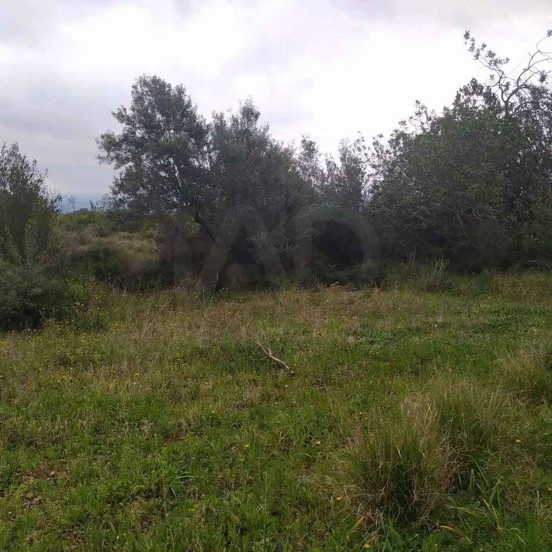 Terrain rustique à vendre à Tivenys, imagen 11