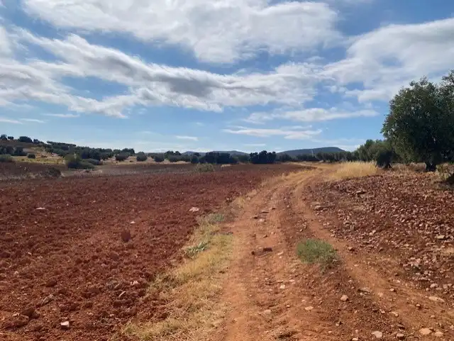 Terreny rústic en venda a Sonseca, imagen 4