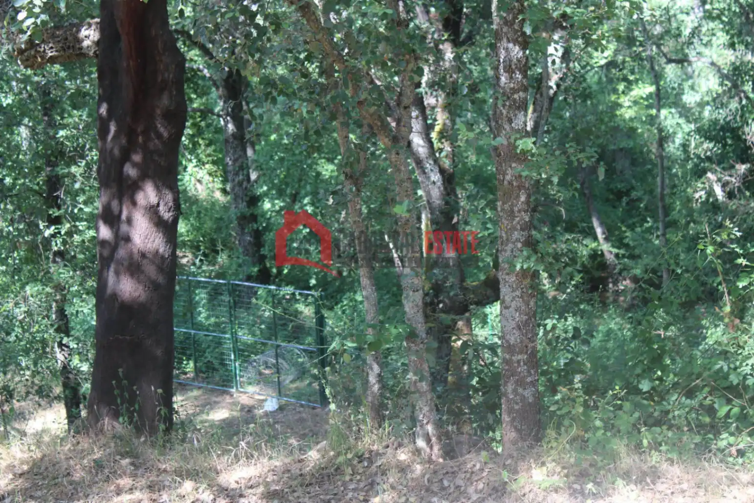 Casa o xalet en venda en Fuencaliente amb Jardí privat, Terrassa i Traster
