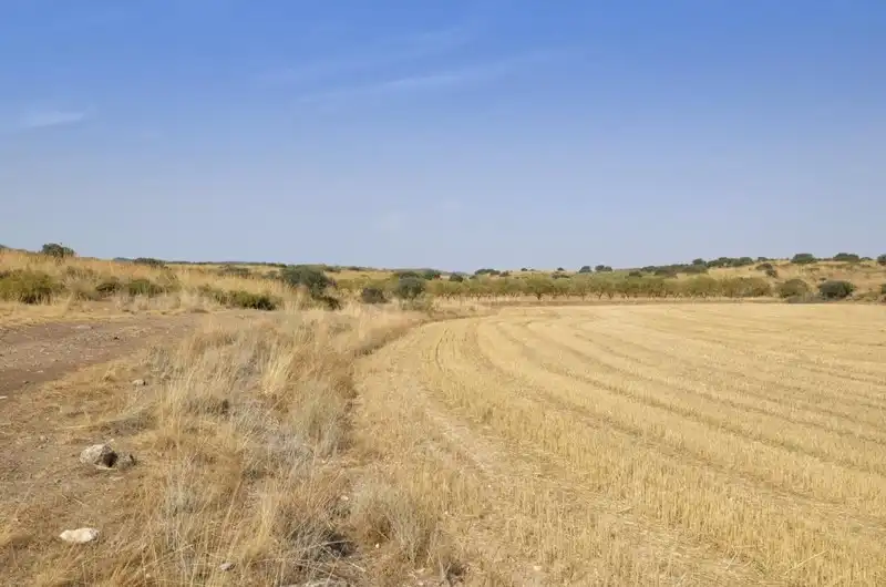 Terreni e lotti in vendita a Padul, imagen 29