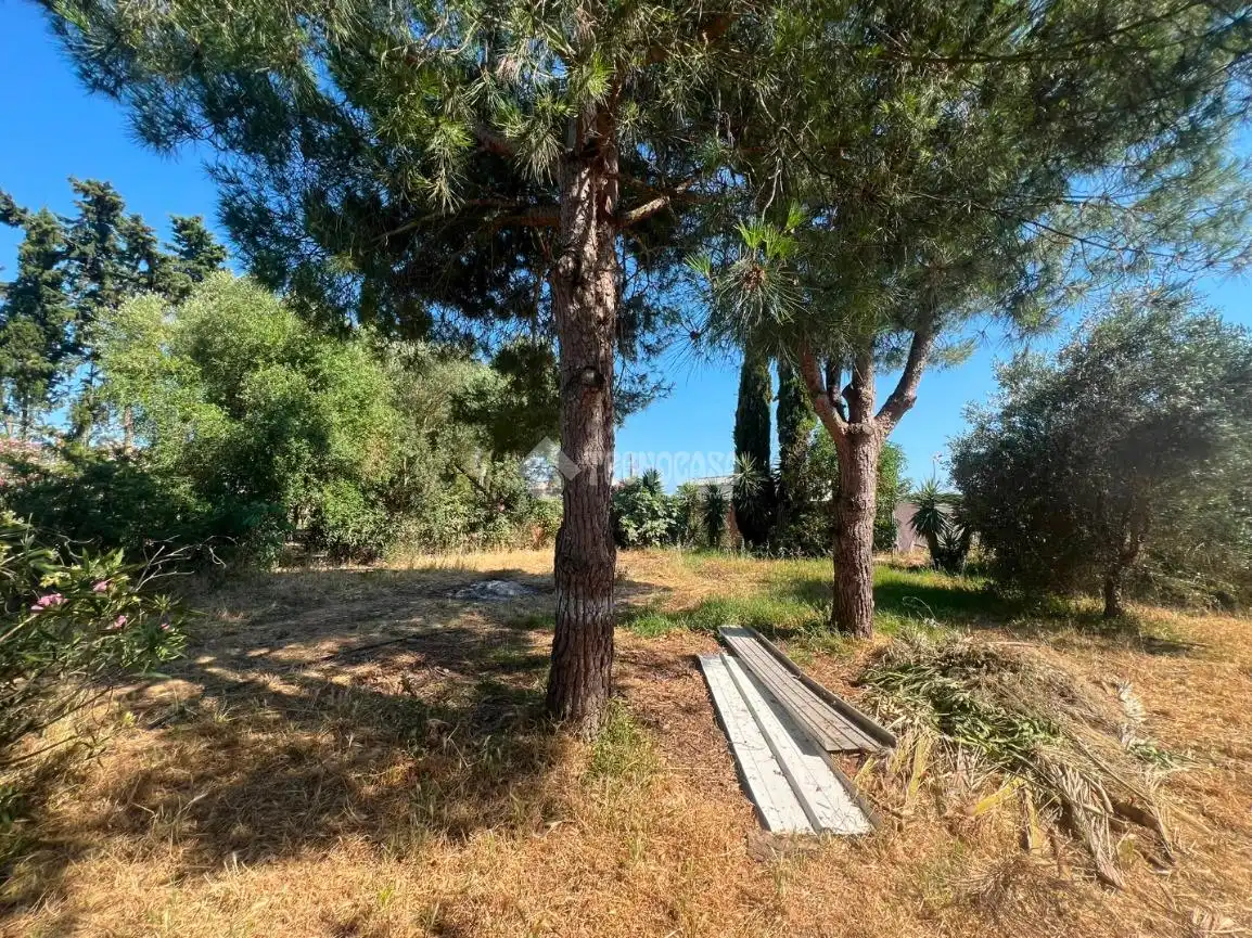 Rural land for sale in Roche, imagen 5