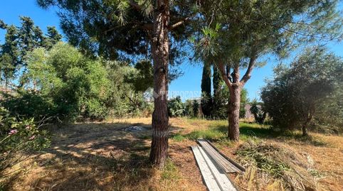 Foto 5 de Terreny en venda a Roche, Conil de la Frontera