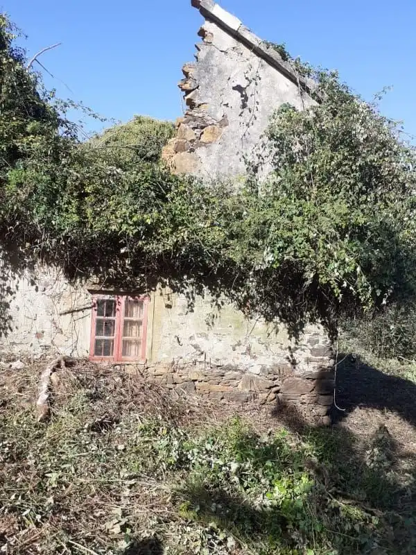 Vista exterior de Finca rústica en venta en Cedeira con Jardín privado
