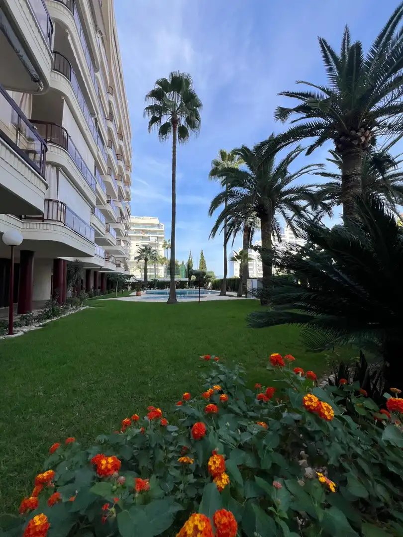 Apartamento con terraza en alquiler en Calle de La Rioja, imagen 47