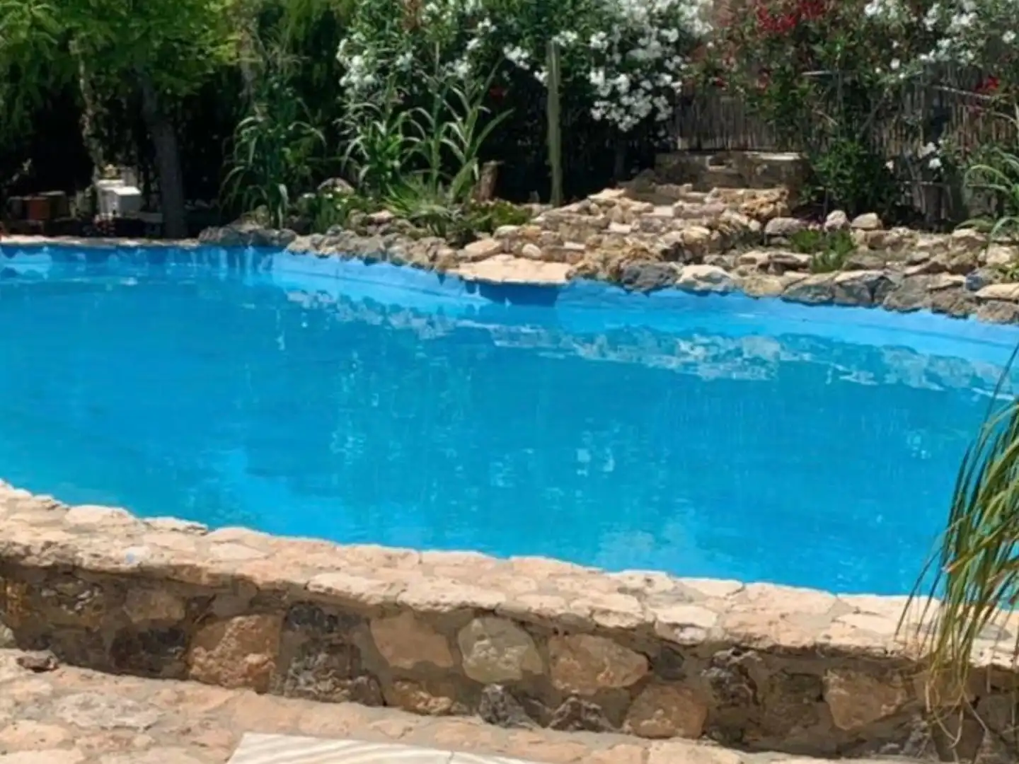 Piscina de Casa o chalet en venta en Novelda con Calefacción, Terraza y Piscina