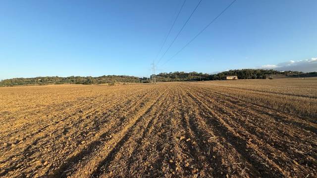 Terreno en Venta en Maria de la Salut
