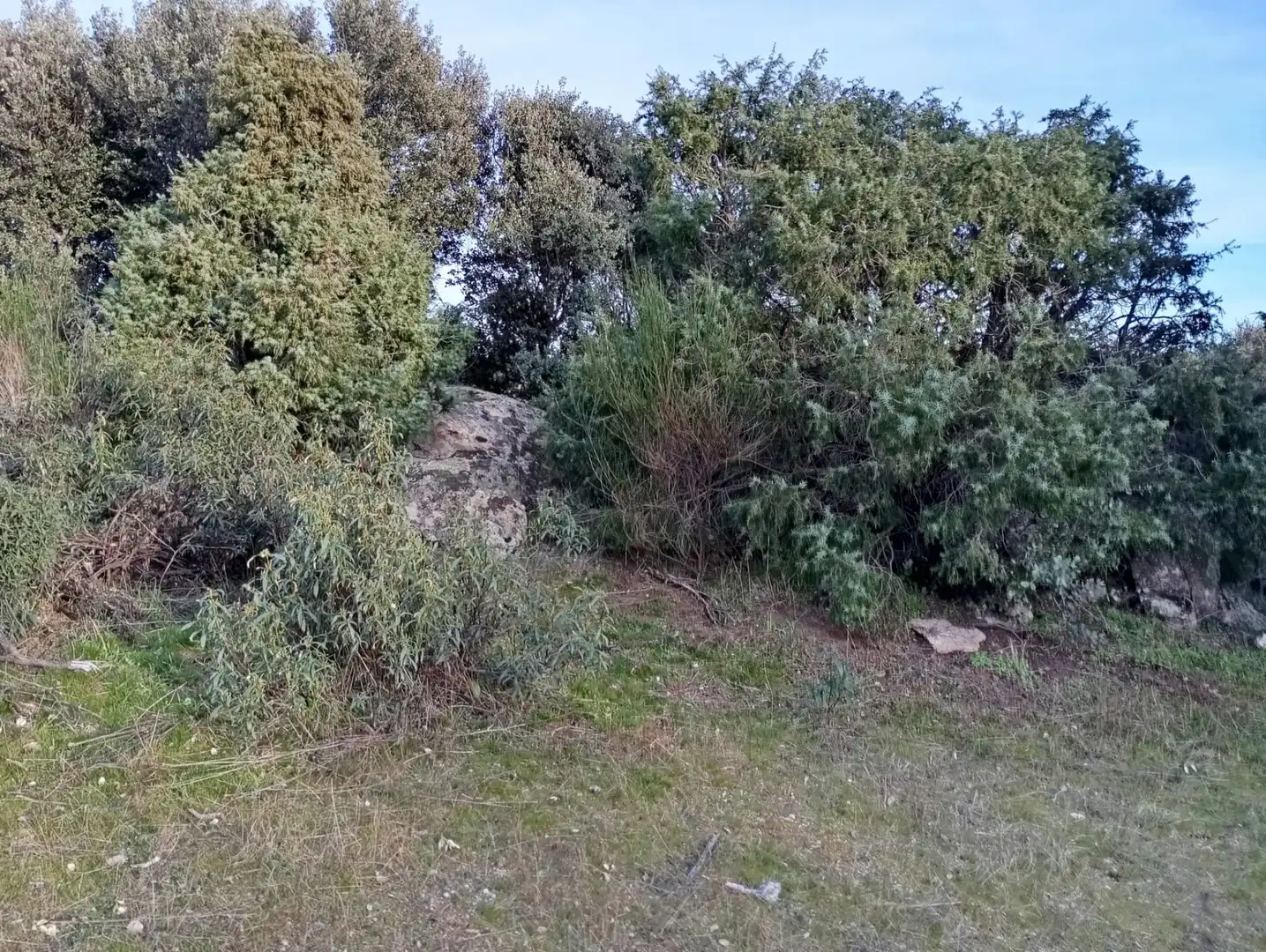 Terreno rustico in vendita a Fresnedillas de la Oliva, imagen 15