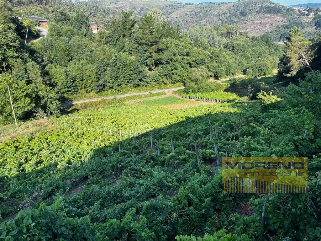 Country house for sale in Paradela, imagen 20