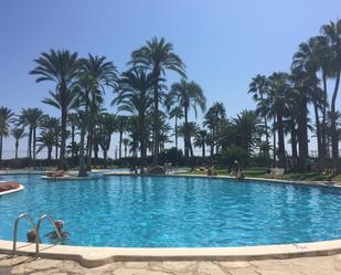 Piscina de Pis de lloguer en El Campello amb Terrassa