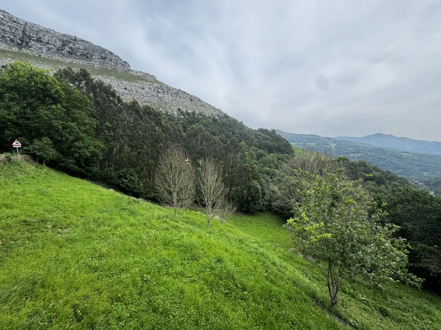 Houses for sale in Arredondo