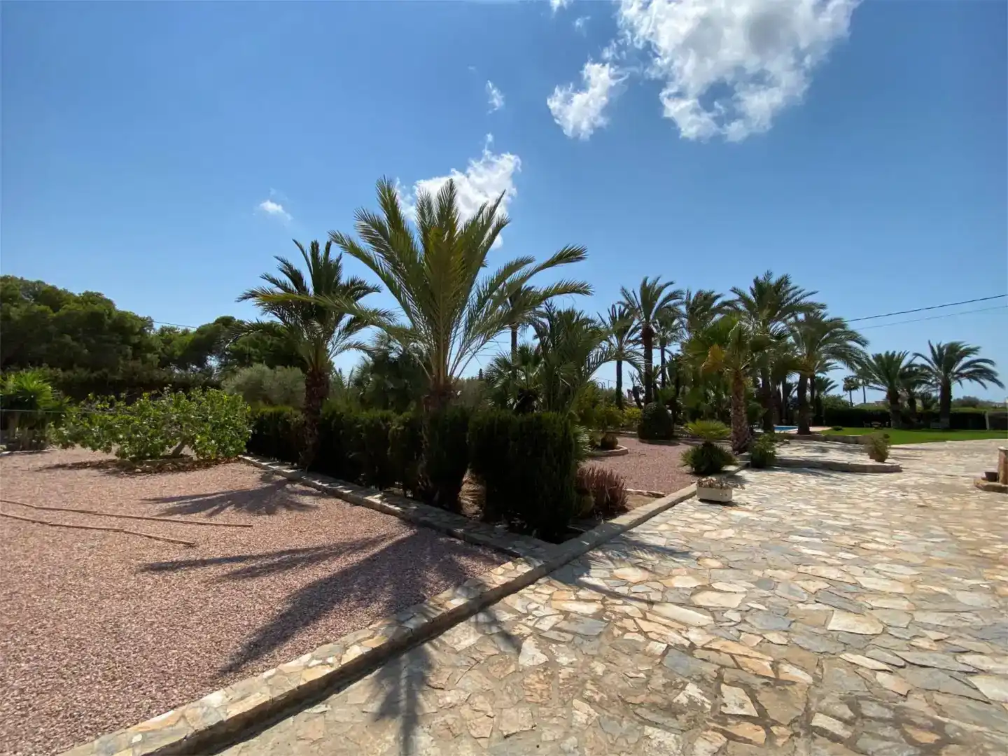 Jardí de Casa o xalet en venda en Santa Pola amb Aire condicionat i Piscina