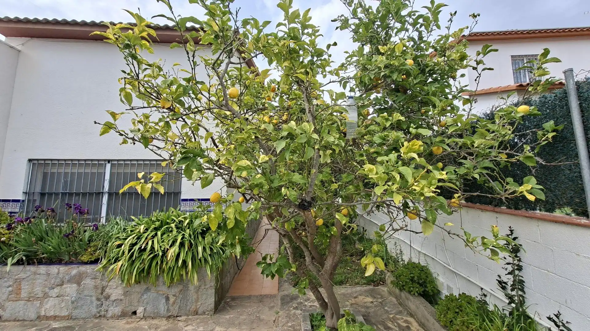 Haus mit Pool zum Verkauf in Mas Alba, imagen 8