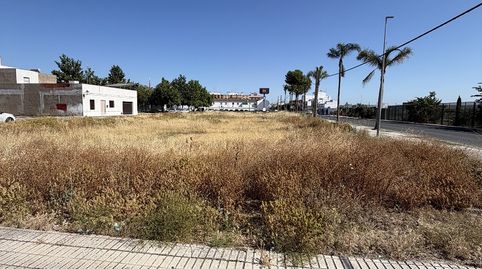 SOLARES DE ESQUINA EN VENTA EN LA LOCALIDAD DE TOCINA (SEVILLA), immagine 3