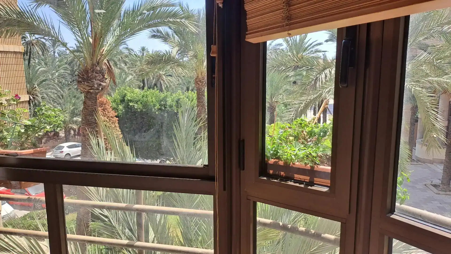 Wohnung zum Verkauf in Elche ciudad