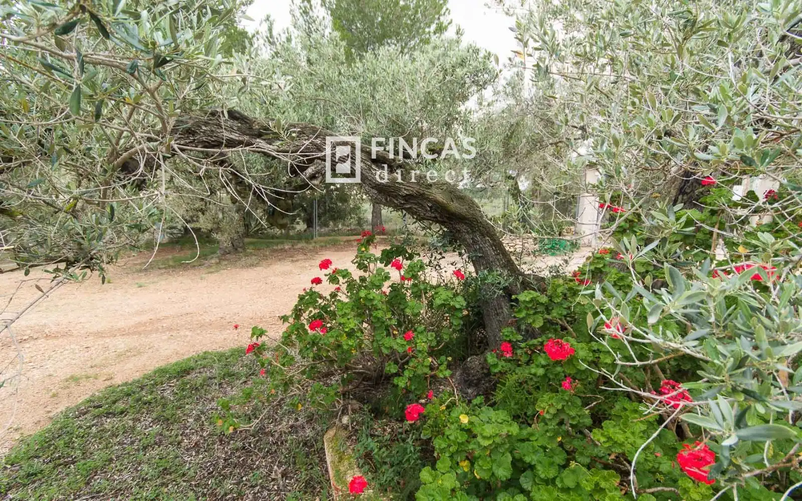 Casa rustica in vendita a RJHQ+43, imagen 27