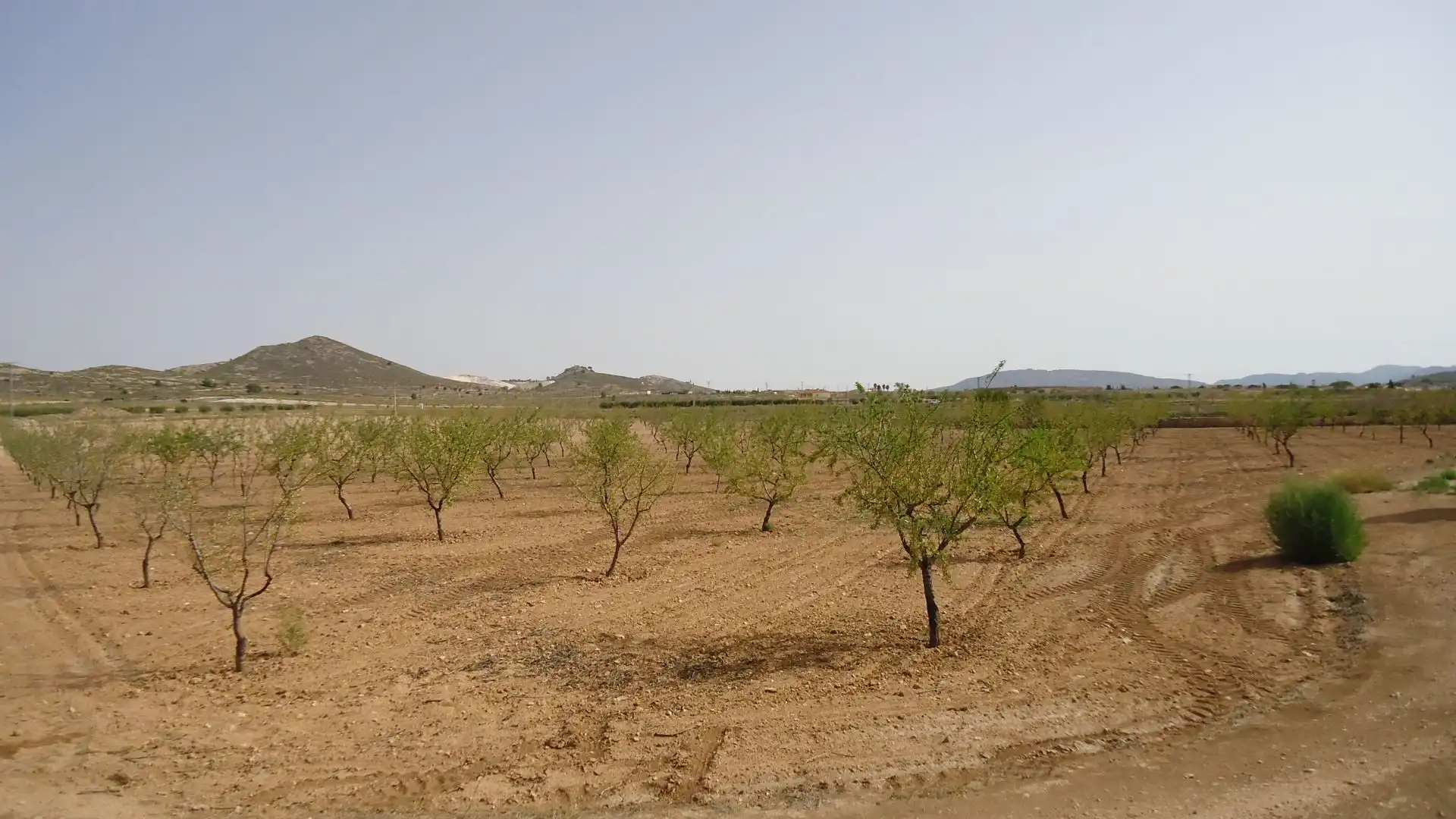 Rustikales Grundstück zum Verkauf in Jumilla, imagen 19