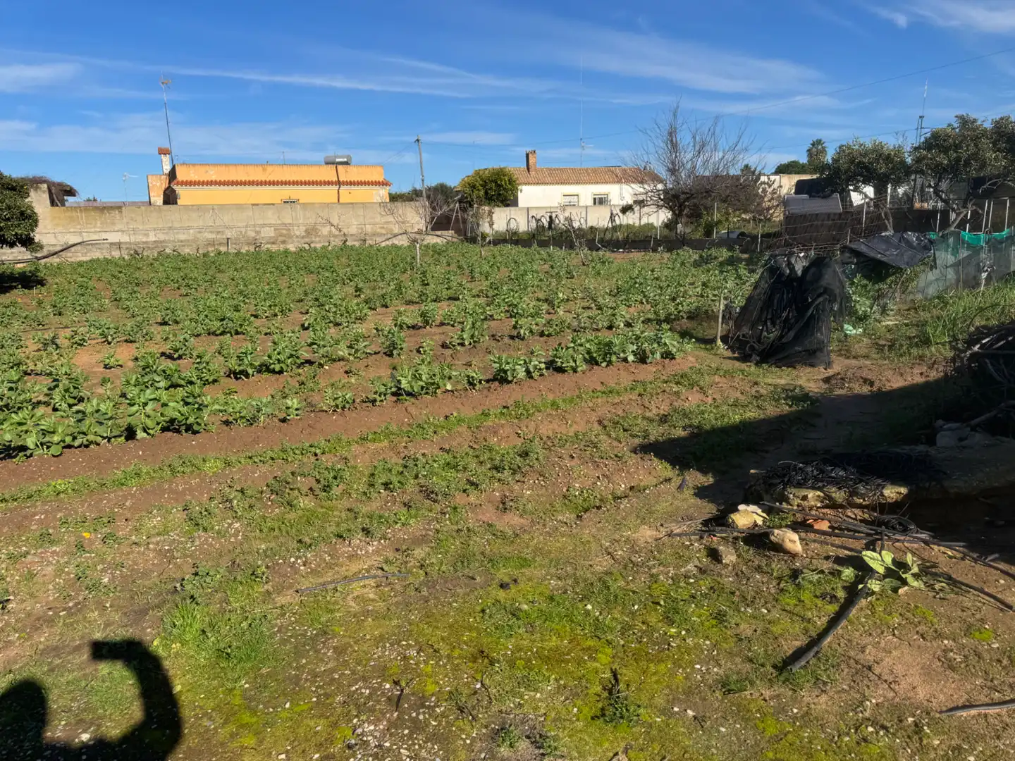 Country homes for sale in Sanlúcar de Barrameda  with Private garden, Terrace and Storage room