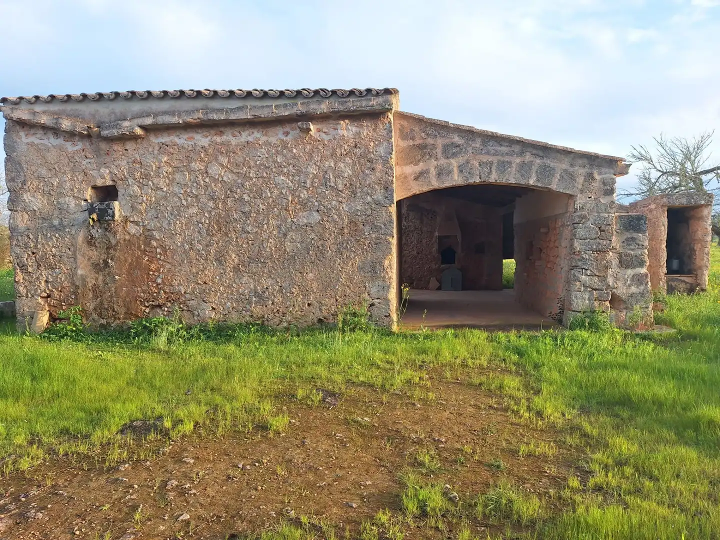 Vista exterior de Finca rústica en venta en Algaida