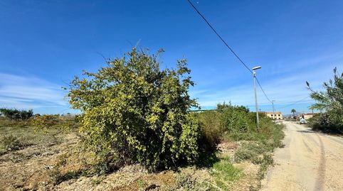 Foto 5 de Finca rústica en venta en Vereda de Tabala, Alquerías, Murcia Capital