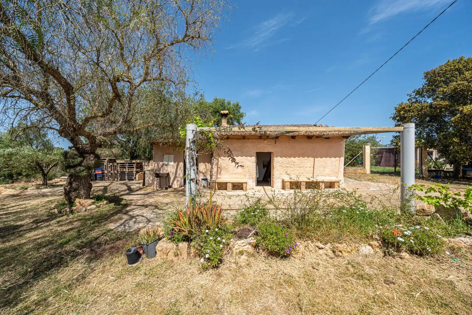 Terreno rustico in vendita a Llucmajor pueblo, imagen 14