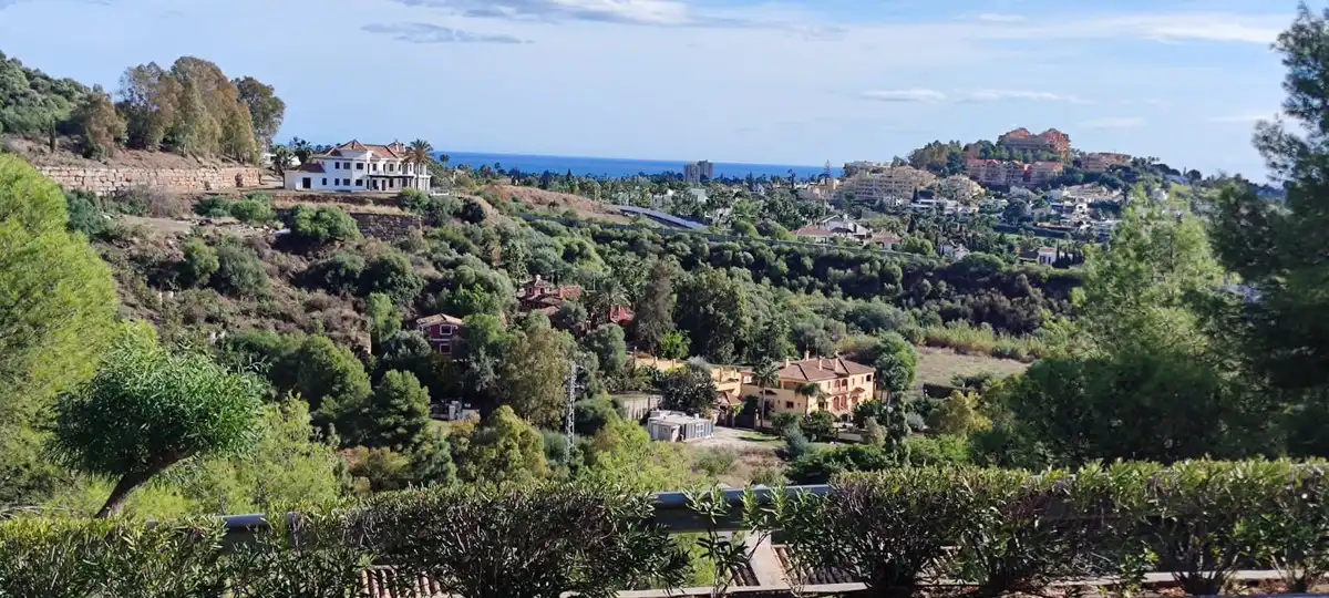 Piso con piscina en venta en Avenida Tomás Pascual 22, imagen 35
