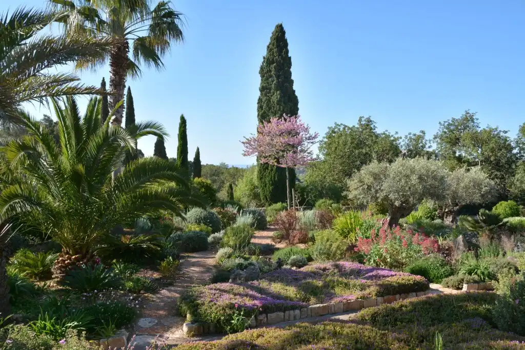 Casa rústica con piscina en venta en Felanitx Poble, imagen 5