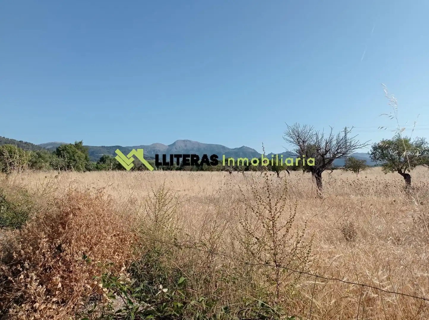 Finca rústica en venta en Lloseta