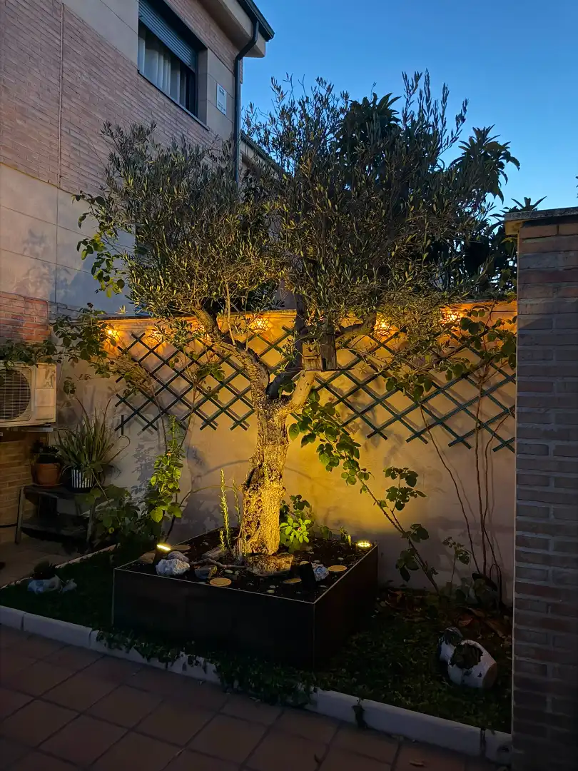 Jardí de Casa o xalet en venda en Navalcarnero amb Calefacció, Jardí privat i Piscina comunitària