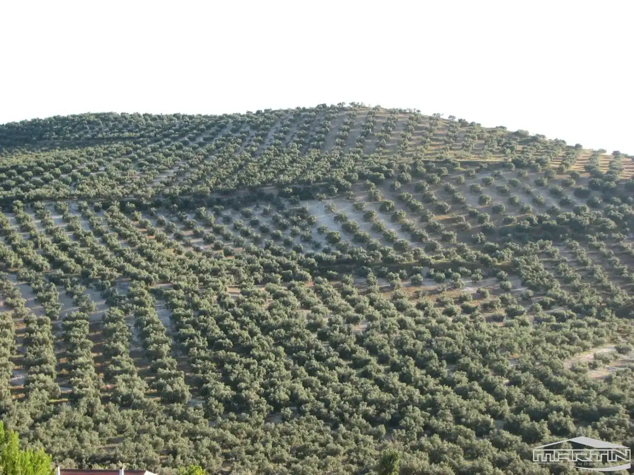 Terrenos y solares en venta en Cerro San Cristóbal, imagen 6