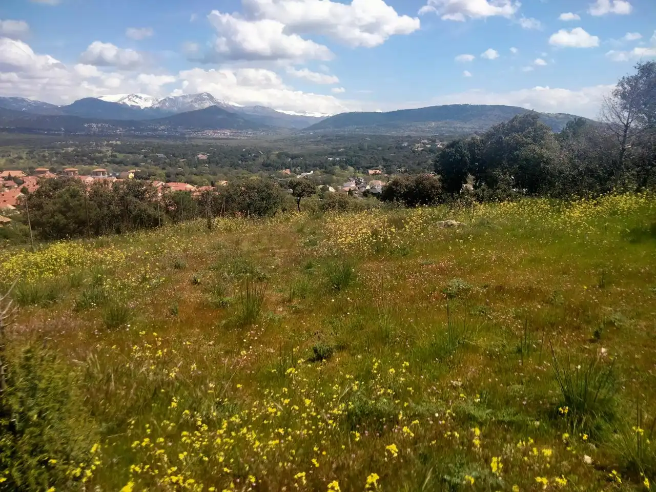 Grundstücke und Bauplätze zum Verkauf in Guadarrama, imagen 6