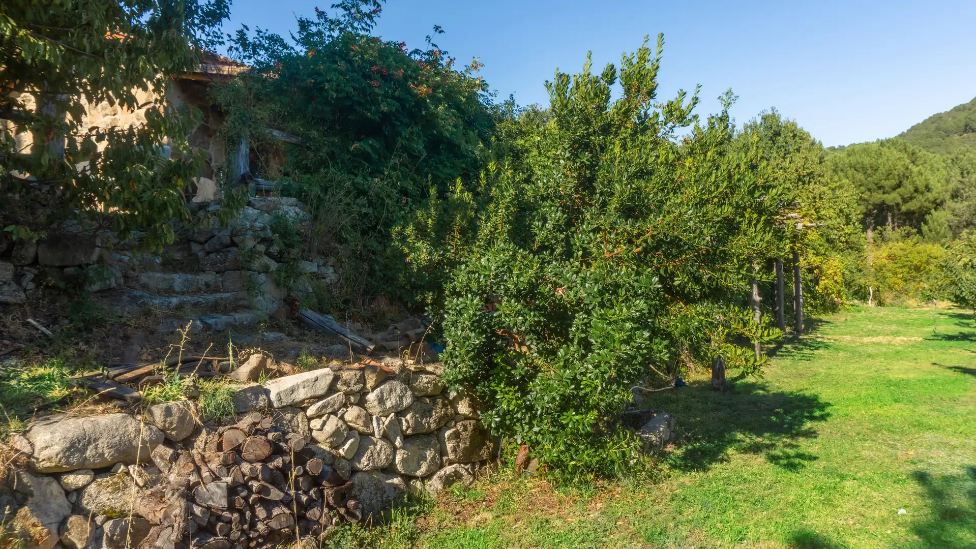 Jardí de Casa o xalet en venda en El Hornillo 
