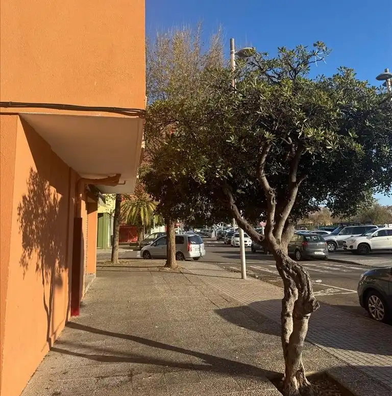 Appartement à vendre à RIU LLOBREGAT, imagen 3