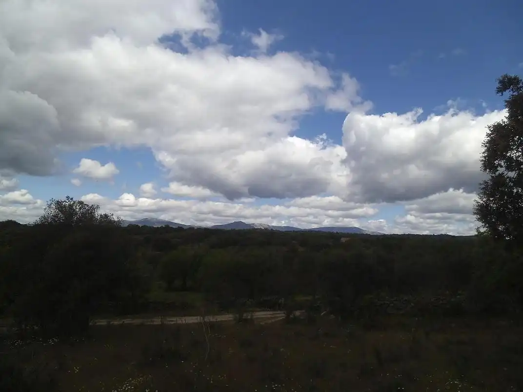 Vista exterior de Residencial en venda en Valdemorillo