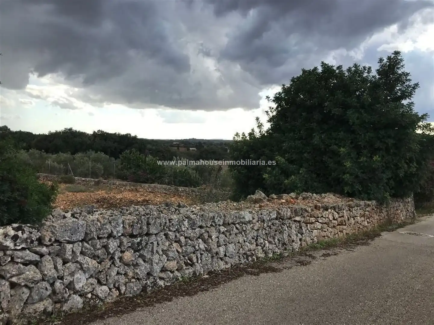 Wohnbaugrundstück zum Verkauf in Muro, imagen 15