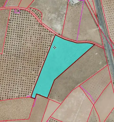 Terrenos y solares en venta en Torrenueva