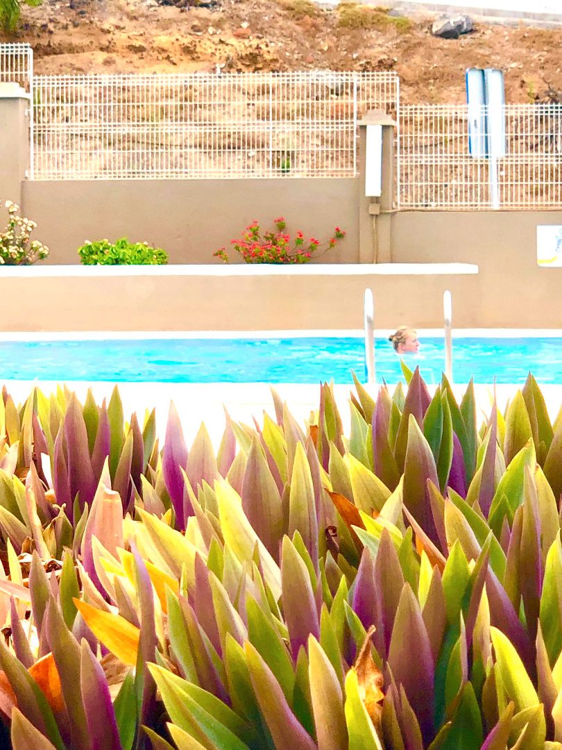 Piscina de Apartament en venda en Arona amb Terrassa, Moblat i Rentadora