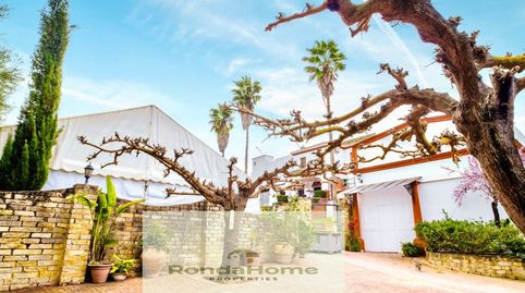 Foto 5 de Finca rústica en venda a Villamartín, Cádiz