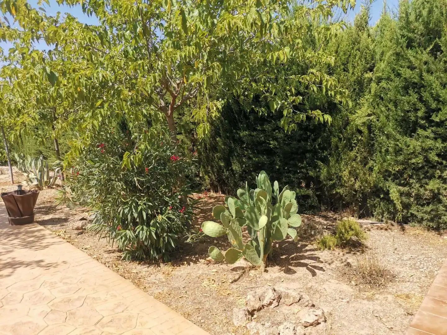 Jardí de Pis en venda en Hellín amb Piscina