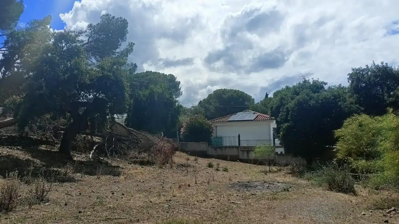 Lands and plots for sale in Campamento, imagen 2