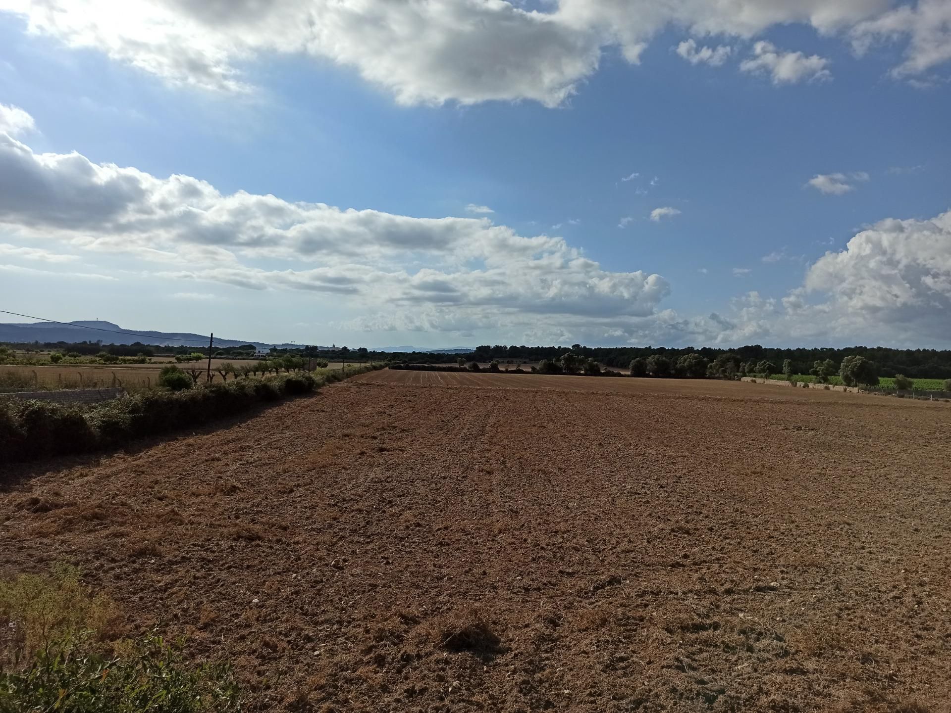 Terreny en venda en Porreres
