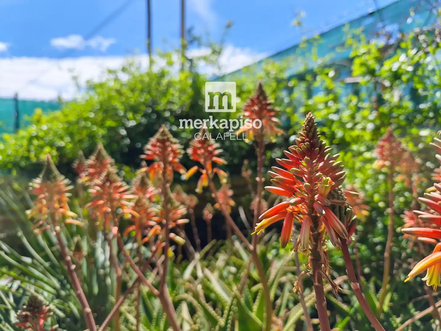 Vista exterior de Casa o xalet en venda en Bellvei amb Calefacció, Jardí privat i Terrassa