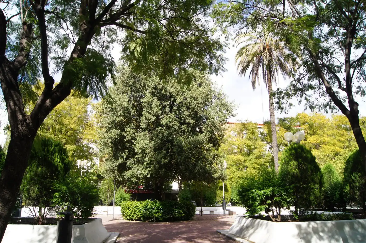 Room in Calle LOZOYA, El Plantinar – Avda. La Paz - El Juncal