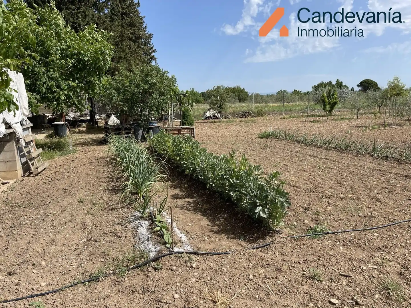 Land for sale in Gurrea de Gállego