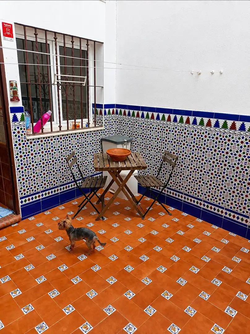 Terrassa de Casa o xalet en venda en Alcalá de Guadaira amb Aire condicionat i Terrassa