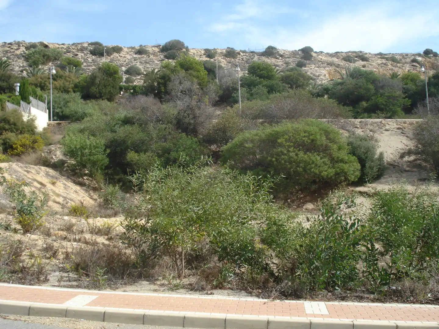 Terreno residenziale in vendita a Calle Cigüeña, imagen 4
