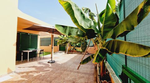 Foto 4 de Casa o chalet de alquiler en Sonnenland, San Bartolomé de Tirajana