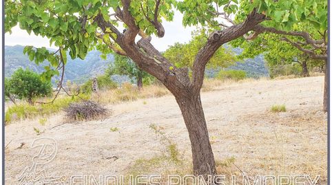 Terreno en venta en Selva, immagine 4