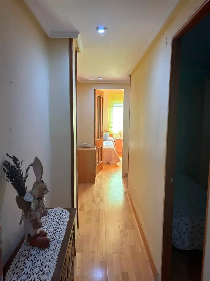 Wohnung mit Aufzug zum Verkauf in Calle Alcalde Emilio Francés 21, imagen 3