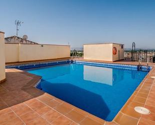 Swimming pool of Flat to rent in Atarfe  with Terrace