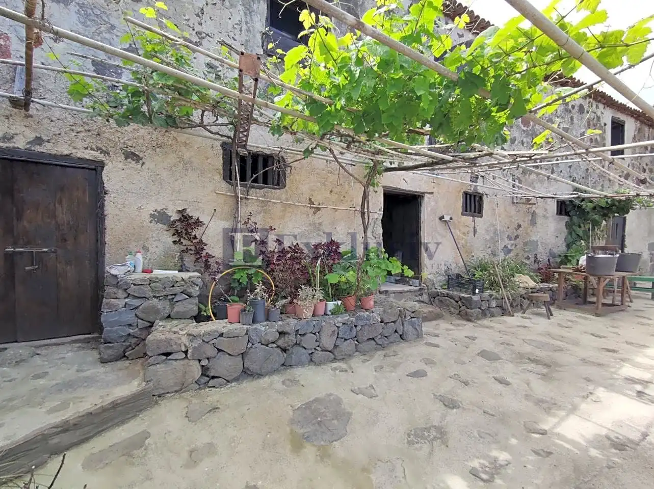 Country homes for sale in Buenavista del Norte
